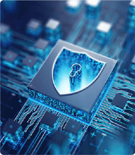 blue team services 2